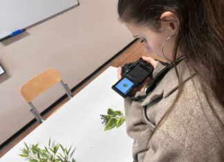 Green School 2025-2026 Palladio