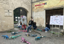 “Iguanas’ Scart”: l’arte contro l’inquinamento