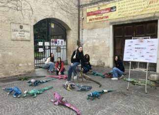 “Iguanas’ Scart”: l’arte contro l’inquinamento