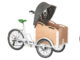 Panda Bike