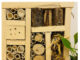 Casette per gli insetti e "butterfly lab"