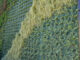 Green wall alla Primaria "Fanna"